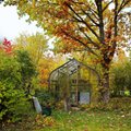 Oktoober aias — tööd, mis tuleks veel enne külmade saabumist ära teha 
