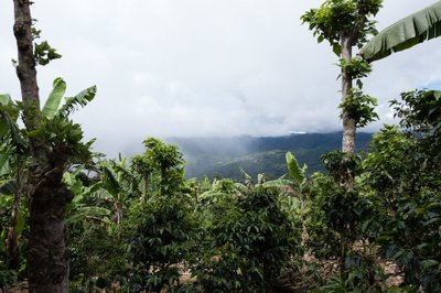 Costa Rica Kohvireis