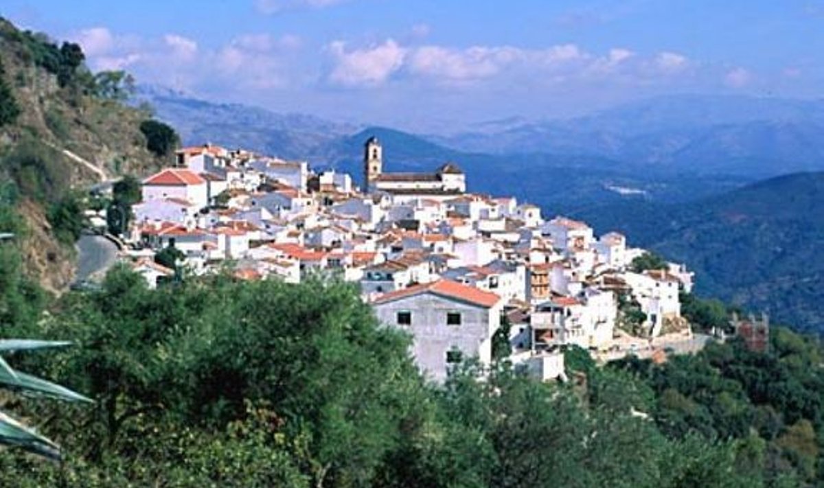 www.andalusia.org