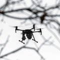 Участие армии в поисках "сбежавшего" дрона UAVFactory обошлось Латвии в 25 000 евро