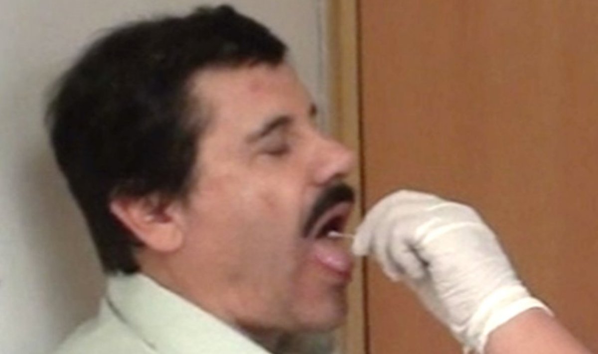 El Chapo annab süljeproovi.