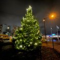 В районе Хааберсти рождественское настроение создают сверкающие световые инсталляции