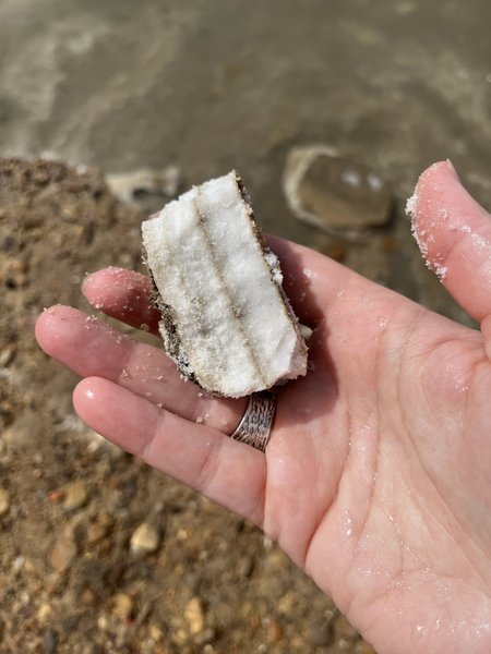 Surnumere rannast leidis täiesti selget sillerdavat soola.