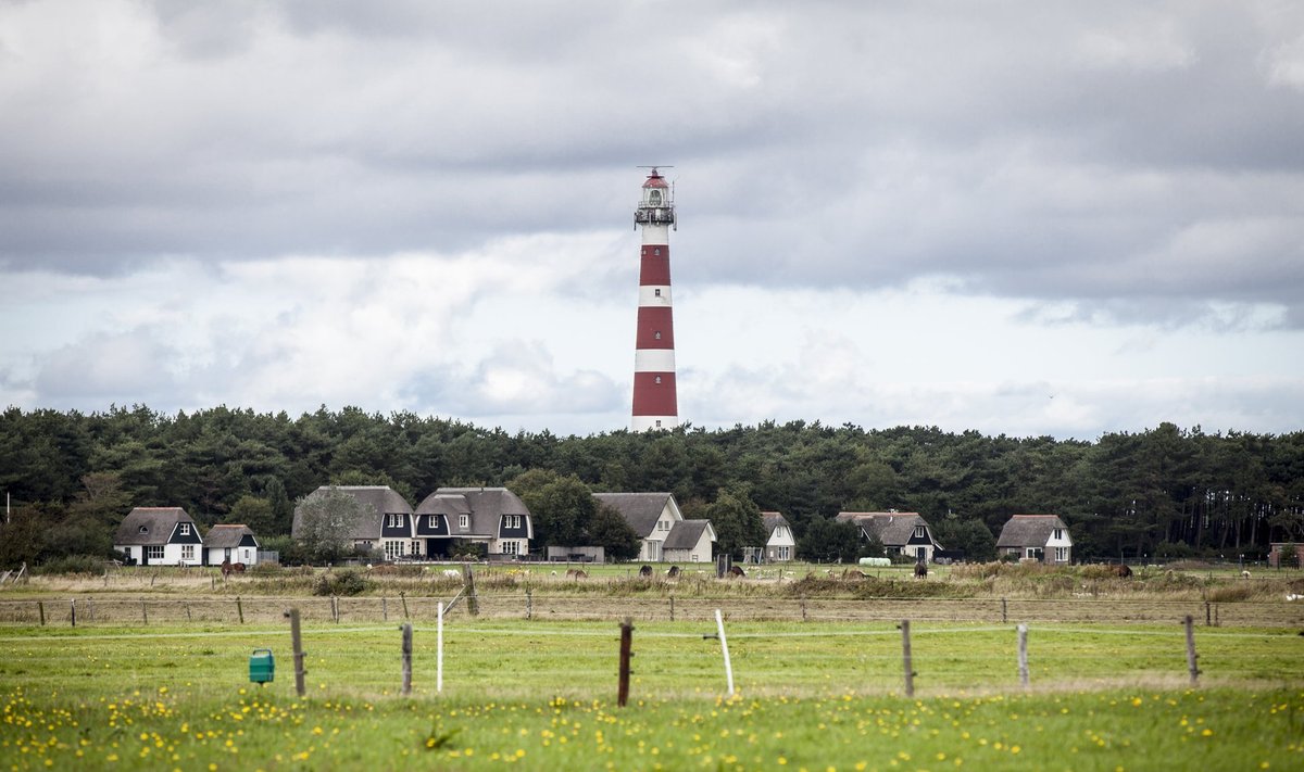 Üks Friisi saartest, liivadüünidega Ameland on ainus koht Hollandis, kus kasvavad jõhvikad. 