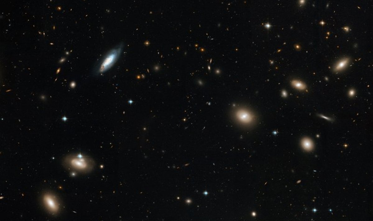 Coma galaktikaparv. Foto: NASA, ESA, Hubble Heritage (STScI, AURA)
