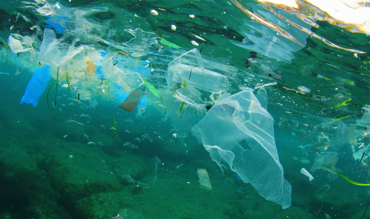 Aastate jooksul on plastikust saanud maailma vete suurim reostusvorm.