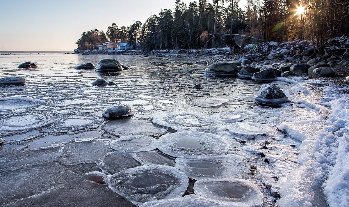 Jääkettad ranna ääres