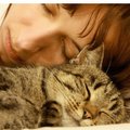 Miks magavad kassid omaniku pea läheduses?