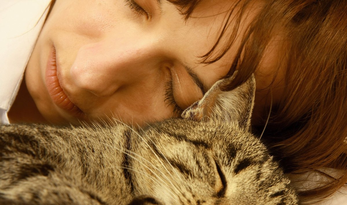 Omaniku pea juures on kassil soe ja turvaline magada.