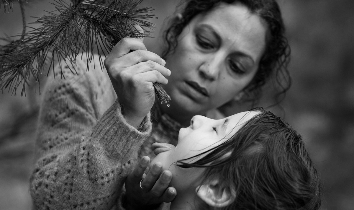 Saatuse meelevalda jäetud põgenikud. Ema püüab lapse janu leevendada männioksale kogunenud veetilkadega.