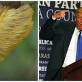 Donald Trumpi kuulus soeng elab Peruus puu otsas iseseisvat elu