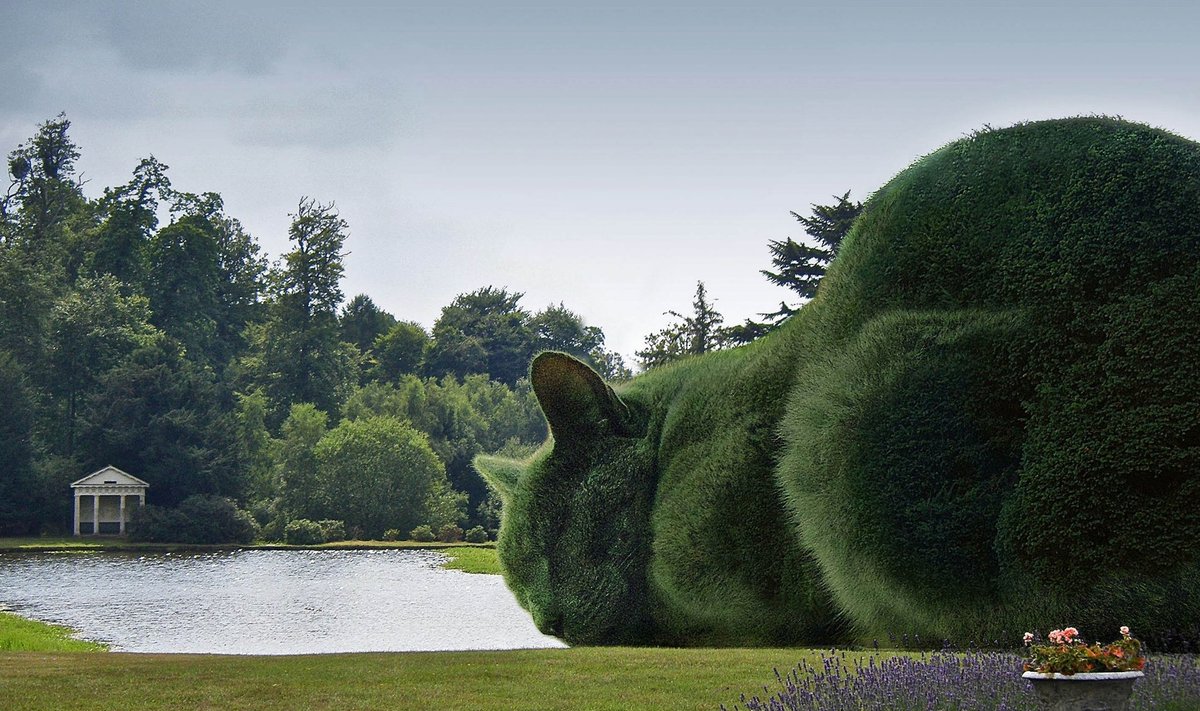 Topiary or Not Topiary; Cat is the Question