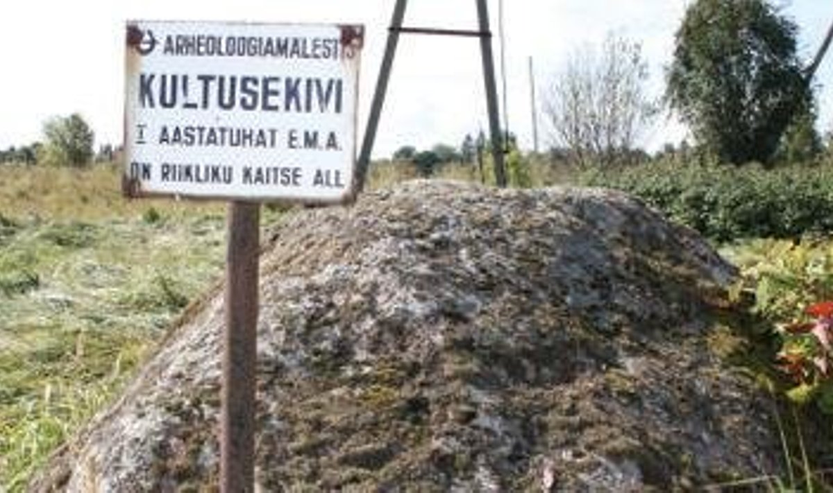 Arheoloogiamälestis nr 18982. Vatsla külas asuva lohukivi avastas 1973. aastal arheoloog Mati Mandel ja see võeti riikliku kaitse alla 1974. aastal.