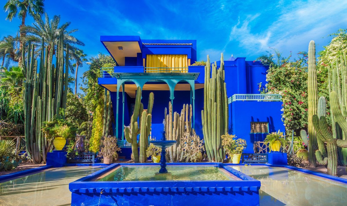 Le Jardin Majorelle, Marrakech, Maroko