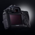 Canoni peegelkaamera EOS 6D – nagu EOS 60D oleks endale täiskaadersensori kasvatanud!
