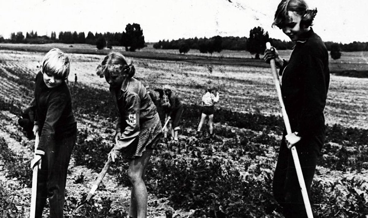 KÄIB TÖÖ JA VILE KOOS: Rakvere rajooni Vinni Näidissovhoosi töö- ja puhkelaagri lapsed põllul rohimas. Foto juulist 1980.