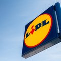 Время сюрпризов: Lidl подарит одному счастливому клиенту автомобиль к Рождеству