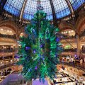 ФОТО | Ёлки, рынки и миллионы огней: смотрите, как европейские столицы подготовились к Рождеству