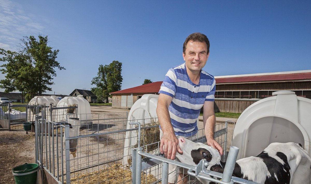 Soone Farmi omanik Andres Tamm tunnistas, et on pidanud Venemaa embargo tulemusel langenud piima hinna tõttu kulud üle vaatama ja karja vähendama.