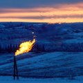 Keegi otsustas talve tühistada: USAs ei panustata taas maagaasi hinnatõusule