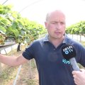"Aasta põllumees 2017" kandidaat Paavo Otsus