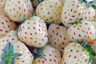 Valgete viljadega maasikasort 'Pineberry'