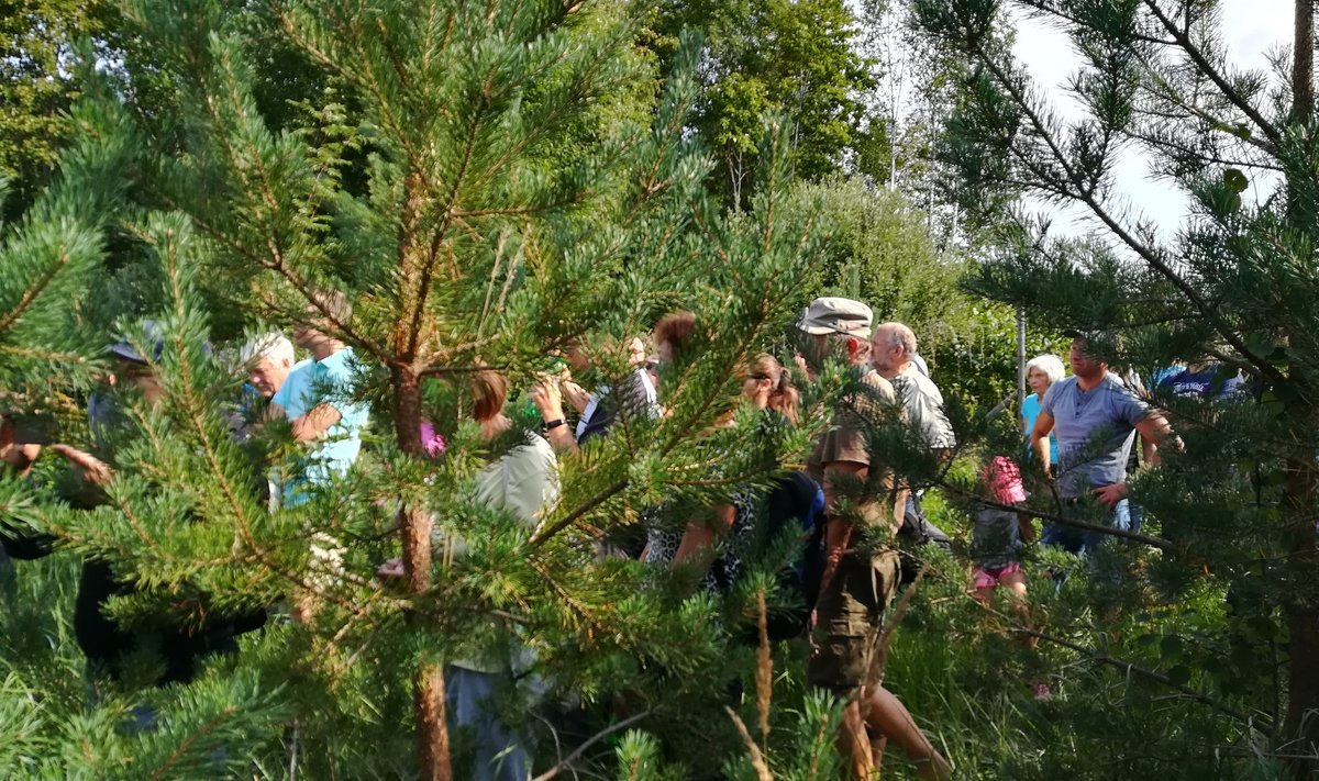 Ekskursioon Piirsalu külas Enniste talus 2017. aasta parima metsamajandaja Liidia Kösteri .