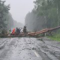 ФОТО | Поваленные деревья, затопленные улицы. Смотрите, что наделал шторм на выходных!  