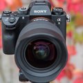 TEST | Sony A9 – hübriidkaamera, mis kvalifitseerub olümpiale