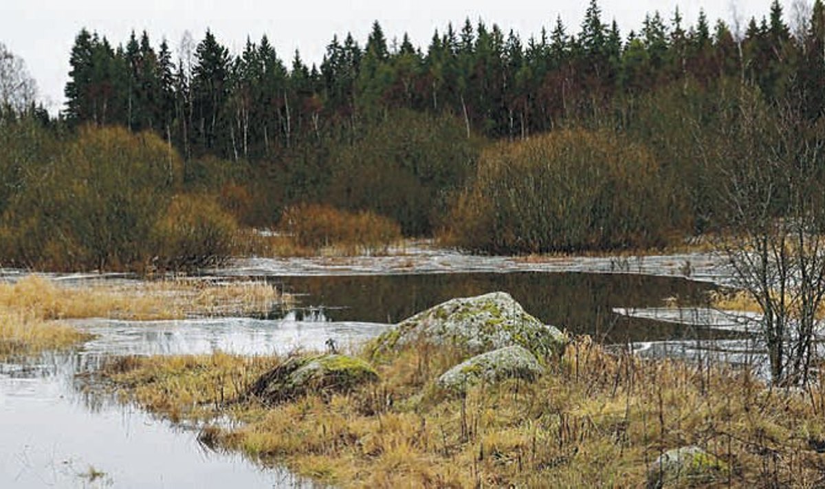 Tagalepa karstijärvik, mis asub ca 2 km Nõmmküla uuringuruumist, 2013. a detsembris (mitte varakevadel, nagu on märgitud Eesti Looduse 2014. a. augusti numbris).