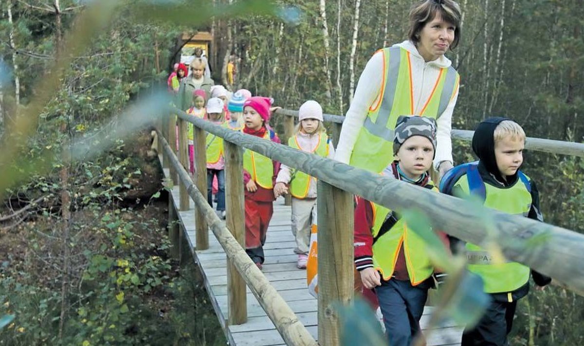 Tallinna lastel aitab loodust tundma õppida näiteks 2009. aasta sügisel avatud Pääsküla raba loodusrada.
