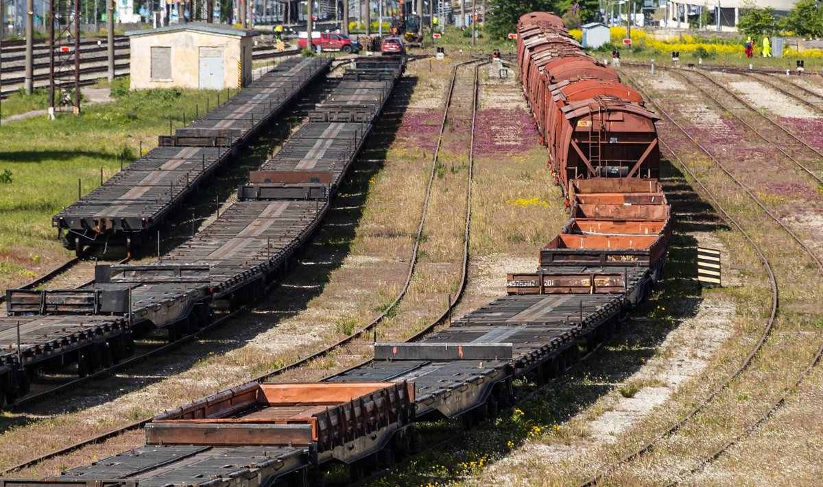 Ringraudtee loomise eesmärk oli luua võimalus kaubavedude ümbersuunamiseks Tallinna kesklinnast ja Ülemistele kerkivast rahvusvahelisest Rail Baltica reisiterminalist.