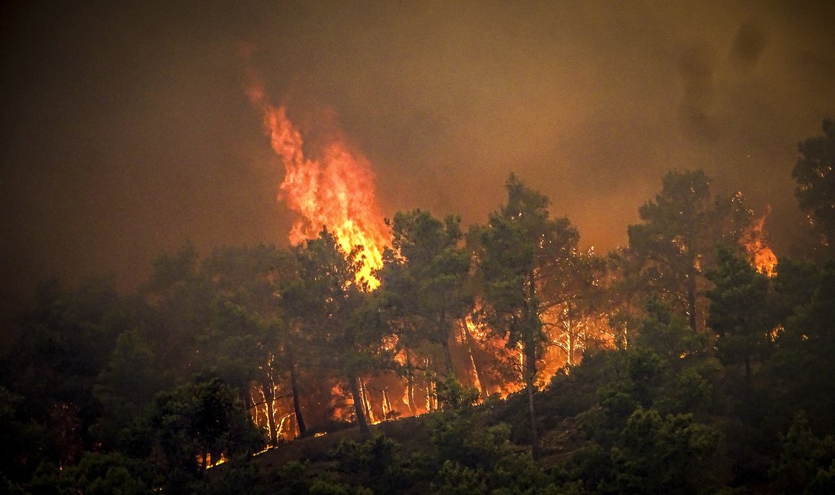 Rhodosel möllavad ekstreemsed metsatulekahjud, mis on tapnud tuhandeid loomi ja jätnud inimesi kodudeta.