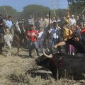 Hispaanias käivad pidustused ja loomade vägivaldne kohtlemine sageli käsikäes