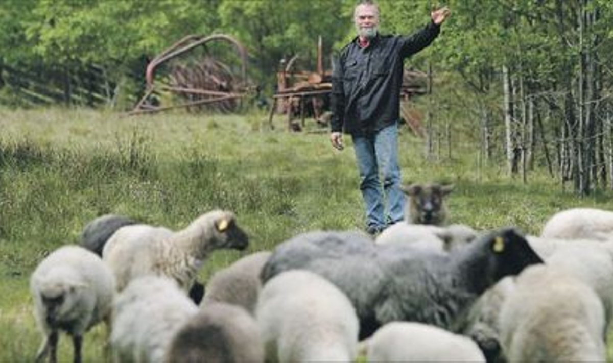 Pärnumaal lambakasvatusega tegelev Mart Vahtel näitab maad, kus       ta loomi karjatab, kuid mille PRIA arvas toetusaluse maa hulgast välja. Talumehe arvates on PRIA kaardid vigased.