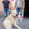 PUBLIKU VIDEO ja FOTOD: "Suvesangarid" avasid Valli baaris hooaja: kuidas sobib Kristjan Rabi koer kolmanda saatejuhi rolli?