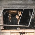 VIDEOD, FOTOD, BLOGI | Tartus hukkusid elumaja tulekahjus ema, isa ja kolm last. Päästeamet: põleng algas külmkapi juurest, majast pole leitud jälge suitsuandurist