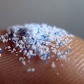 Uuring: mikroplastid jõuavad soolestikust teistesse organitesse