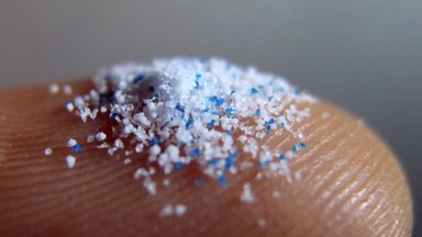 Uuring: mikroplastid jõuavad soolestikust teistesse organitesse