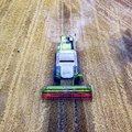 FT: ЕС впервые введет пошлину на зерно из России и Беларуси
