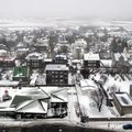 Islandil võeti albaanlase mõrvaga seoses teiste hulgas vahi alla ka Eestist pärit isik