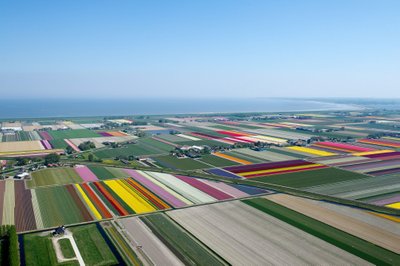 Aerial photographs of tulip fields in the Netherlands by Normann Szkop - April 2011