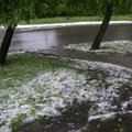 VIDEO | Enneolematu! Pärnumaal sadas juulikuus rahet