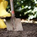 Чтобы не тупила: дедовский способ заточки лопаты