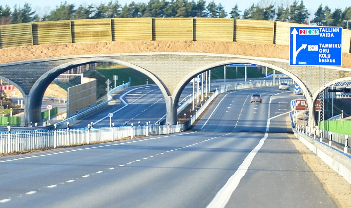 Tallinna–Tartu maantee Kose–Aruvalla  lõigule ehitatud Eesti esimene ökodukt  valmis 2013. aasta novembris.  Jäljed näitasid, et esimesena  läks sellest üle üks metssiga.