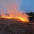ФОТО | Крупнейший ландшафтный пожар года: горела территория в 1000 квадратных метров