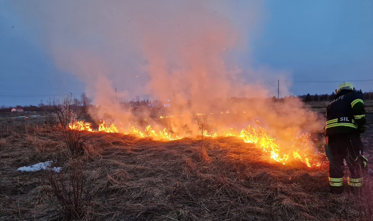 На данном снимке: ландшафтный пожар 11 марта рядом с Нарва-Йыэсуу.  Горели почти 200 квадратных метров сухой травы