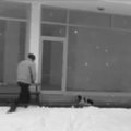 Turvakaamera püüdis lindile mehe, kes tegi külmas kükitavale kodutule koerale enneolematu heateo
