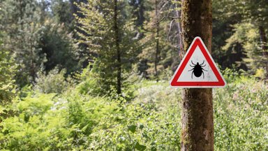 „Olen invaliid. Põhjuseks pikalt avastamata borrelioos.“ Puugihaigus võib end peita gripisümptomite ja liigesevalu varjus