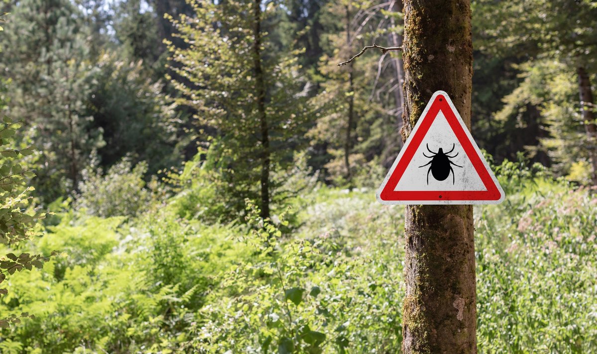 Borrelioos ei lähe ise üle, sellepärast tuleks kahtluse korral lasta perearstil teha test.